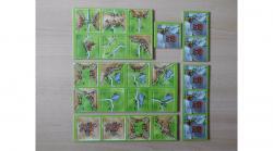 Carcassonne - Fogadók és Katedrálisok